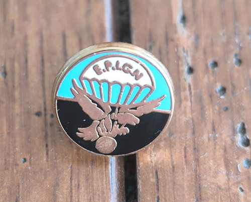 Insigne pin epign escadron - insigne, pin's