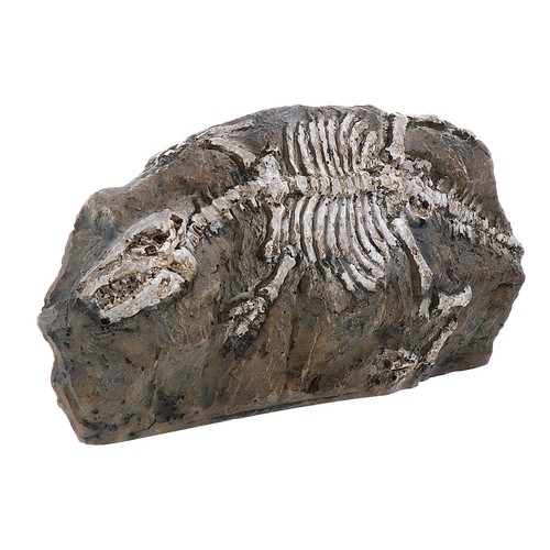 Dinosaures figurines - ,