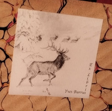 Chasse - Louis  TERNIER.  La Sauvagine en France, RARE édition originale 1897.