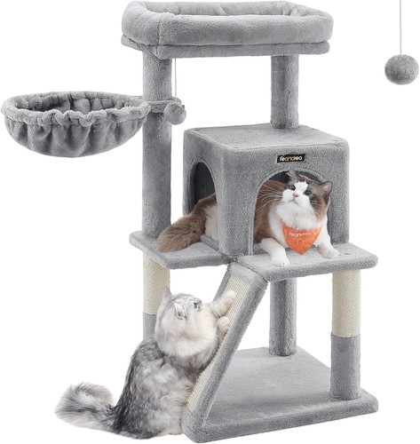 Arbre chat escalade - arbre,