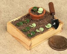 Maison De Poupées Boîte En