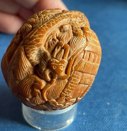 Rare noix sculptee - -,