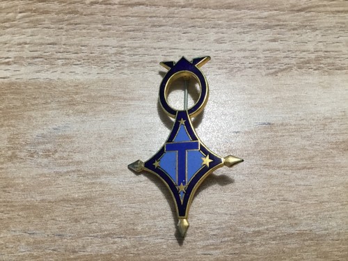 Insigne saharien 1cie - insigne,