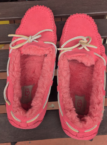 Ugg dakota bright pink - dakota,