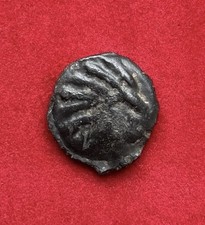 Sénons, Potin au sanglier