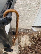 canne de maguignon en nerf de boeuf