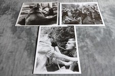 lucio fulci CROC BLANC ! franco nero  photos presse cinema