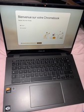 Ordinateur Portable Asus Chromebook CM1402CM2A-EK0074