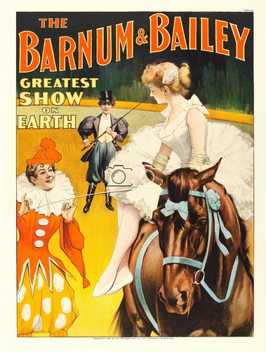 Cirque barnum bailey - barnum, chevaux