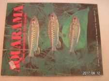 **a2 Revue Aquarama n°104 Le Tetra de blehr / Betta Splendens / Tetraodontidés 
