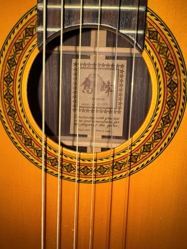 Takamine 128 classical - takamine, g-128