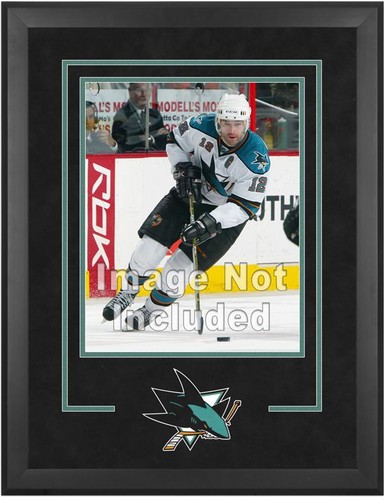 Sharks deluxe 16x20 - sharks,
