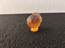 Poisson coffre oranger en