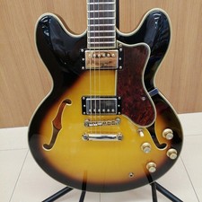 EPIPHONE SHERATON II PRO