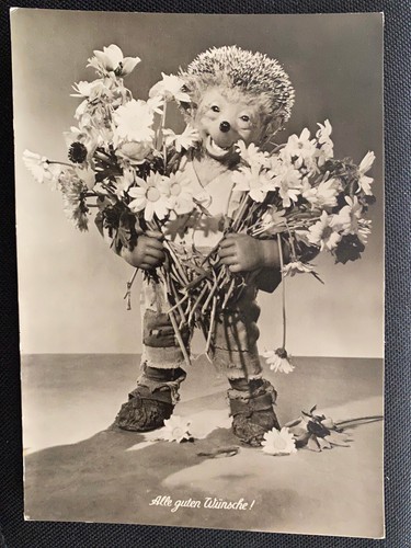 Carte postale hérisson mecki - postale,