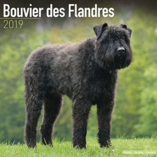 Calendrier 2019 bouvier - calendrier,