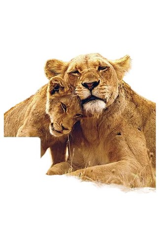 Lonely planet afrique sud - planet,