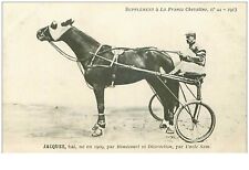 hippisme.n°35957.jacques.bai.1913.CHEVAUX.sulky.SUPPLEMENT A LA FRANCE CHEVAL