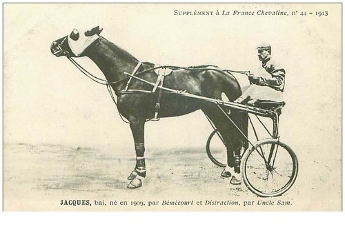 hippisme.n°35957.jacques.bai