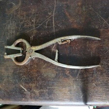 ancien outil VETERINAIRE MARECHAL FERRANT PINCE A CASTRER V.F