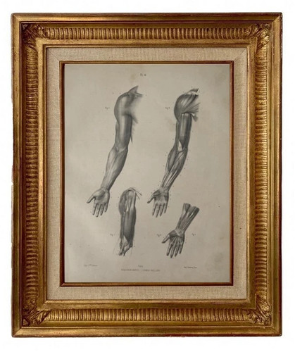 Gravure lithographie xix - gravure,