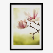 Photo Le salon 50x70cm Cadre
