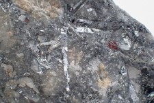 Stibine , Ty Gardien , Quimper , Finistère , Bretagne , France