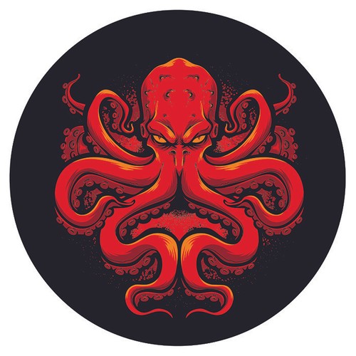Poulpe pieuvre octopus - octopus, marine