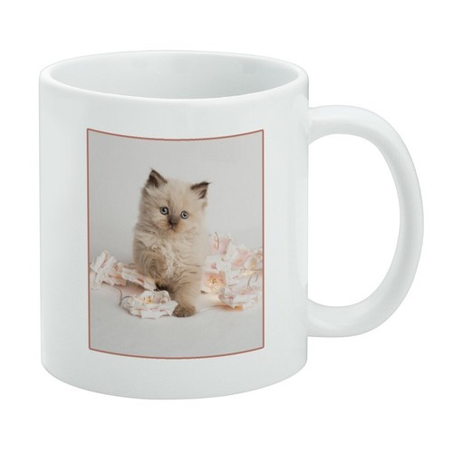 Miradoll ragdoll cat kitten - miradoll,