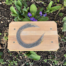 Femme Homme Vêtement de Style