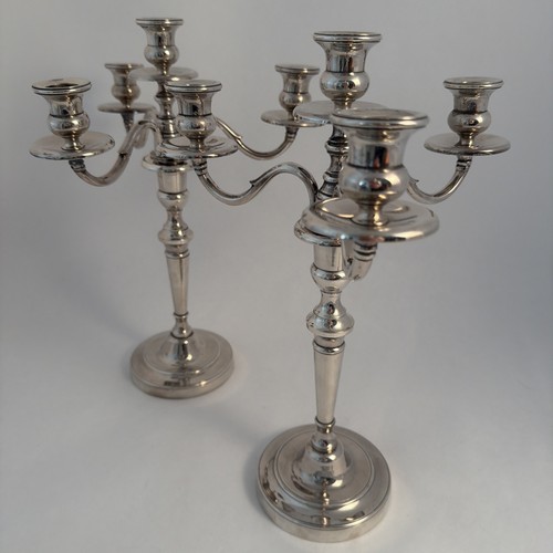 Paire chandelier branches - de,