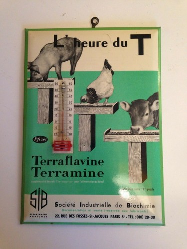 Ancien thermomètre - ancien,
