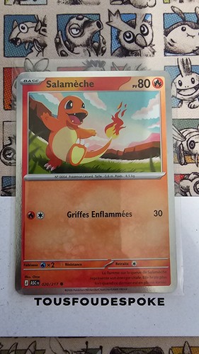 Salameche promo 020 - promo,