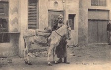 Algérie - Type indigène - Conducteur de bourricot - Ed. P.H. & Cie 121