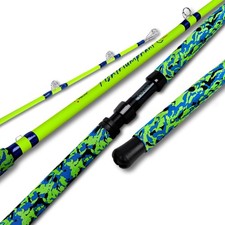 Catfish Fishing Rods 1 Piece/2