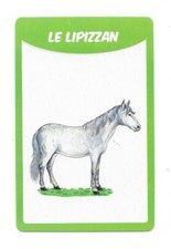Carte 50 races de chevaux - Le lipizzan
