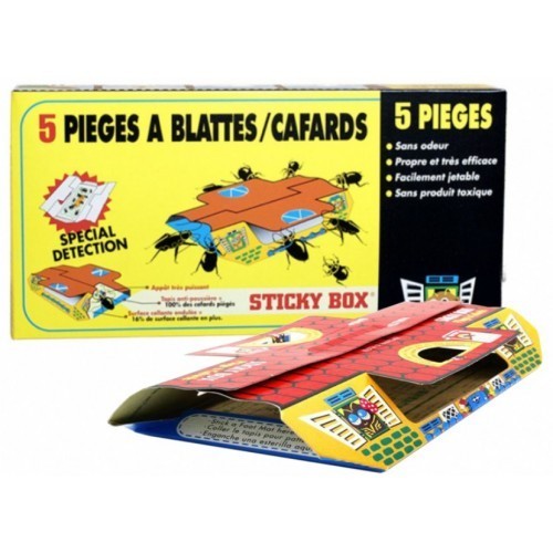 Pièges adhésifs
