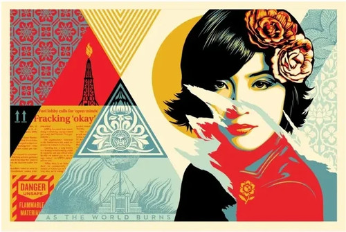 Shepard fairey obey - shepard, open