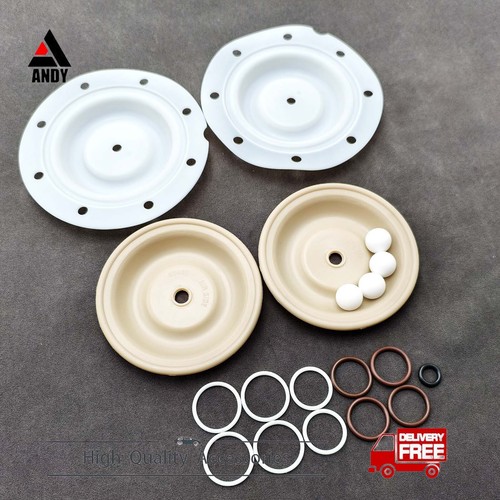 Diaphragm pump repair kit - diaphragm,