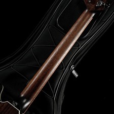 Framus Pro Series Team Built