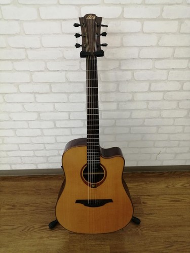 Guitare électrique acoustique