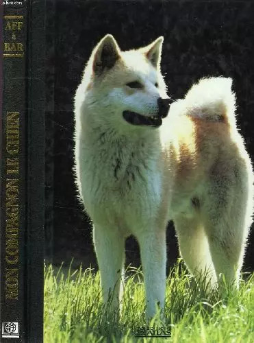 Mon compagnon chien - compagnon, le