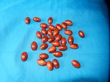 32 ANCIENNES GROSSES PERLES EN