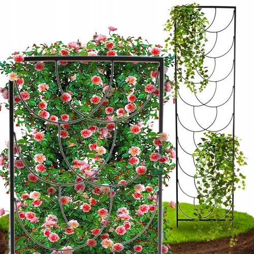 Pergola jardin support de - pergola,