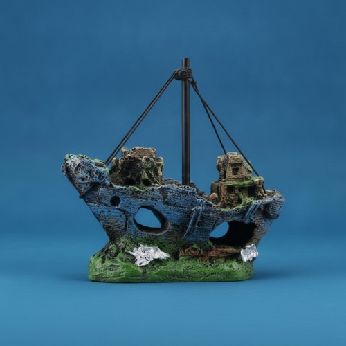 Bateau pirate coulé - pirate,