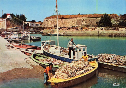 Ile oleron le - 17, chÂteau
