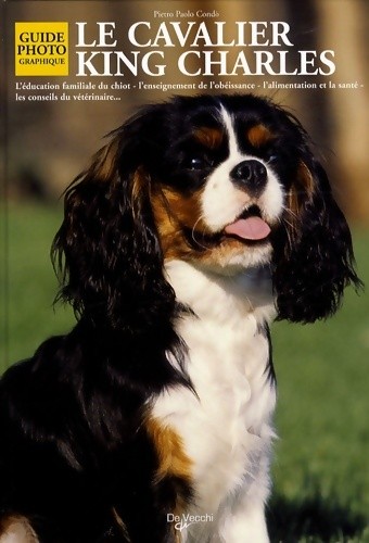 Cavalier king charles - cavalier,