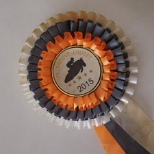 N9250 Cheval équitation cocarde Jump Villeneuve-Loubet 2015 France sport collect