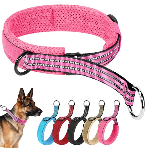 Collier pour chien nylon - collier,