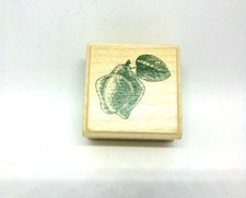 Tampon encre Aladine bois - Fruit coing